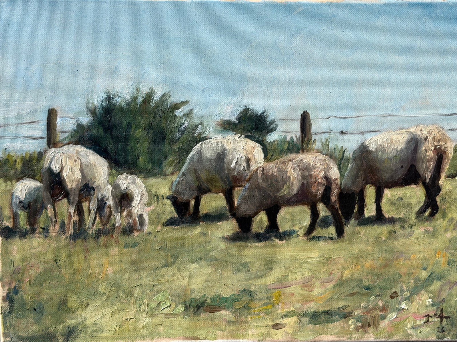 Plein-air landscape of a small flock of sheep grazing in a sunlit green pasture behind a wire fence, under a pale blue sky